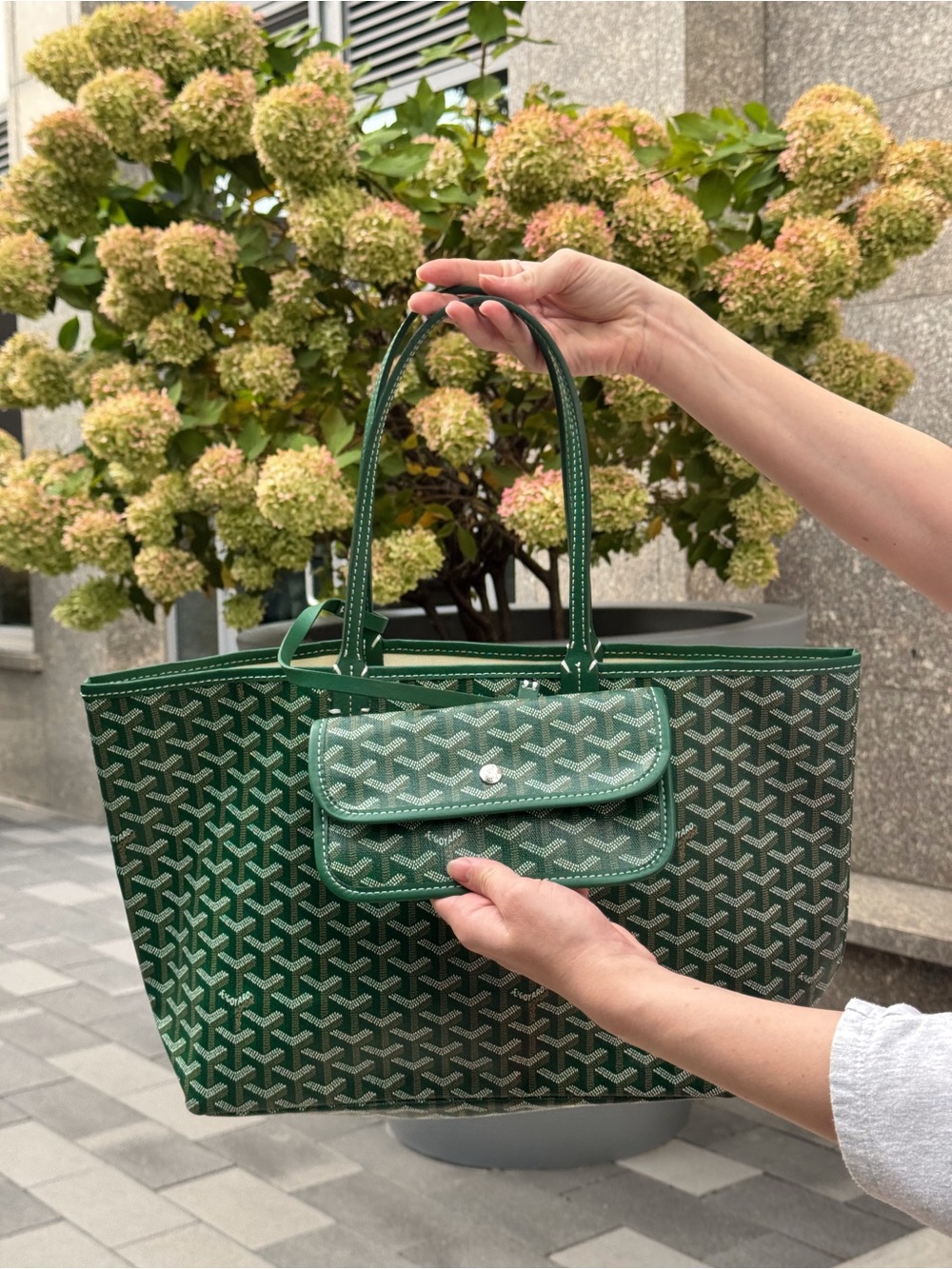 Goyard Tote Saint Louis PM in Green (vintage)